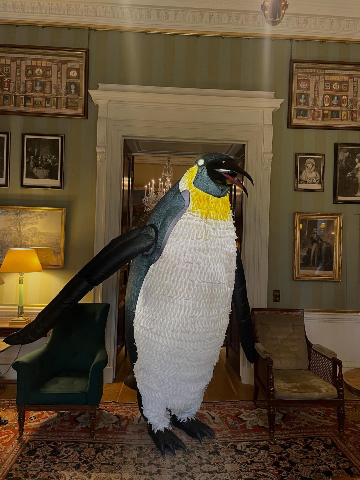 Wonderful show for our feathered friends at #spencerhouse courtesy of @younggunsgroup many thanks to our puppeteers @nathanunthank and @aethalis