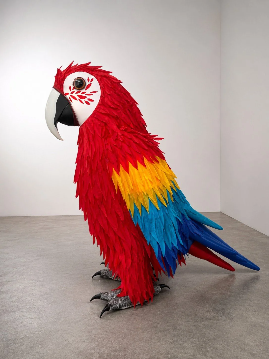 Scarlet Macaw 2.jpg