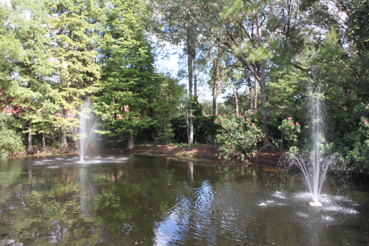  Pond Area Along Exterior 