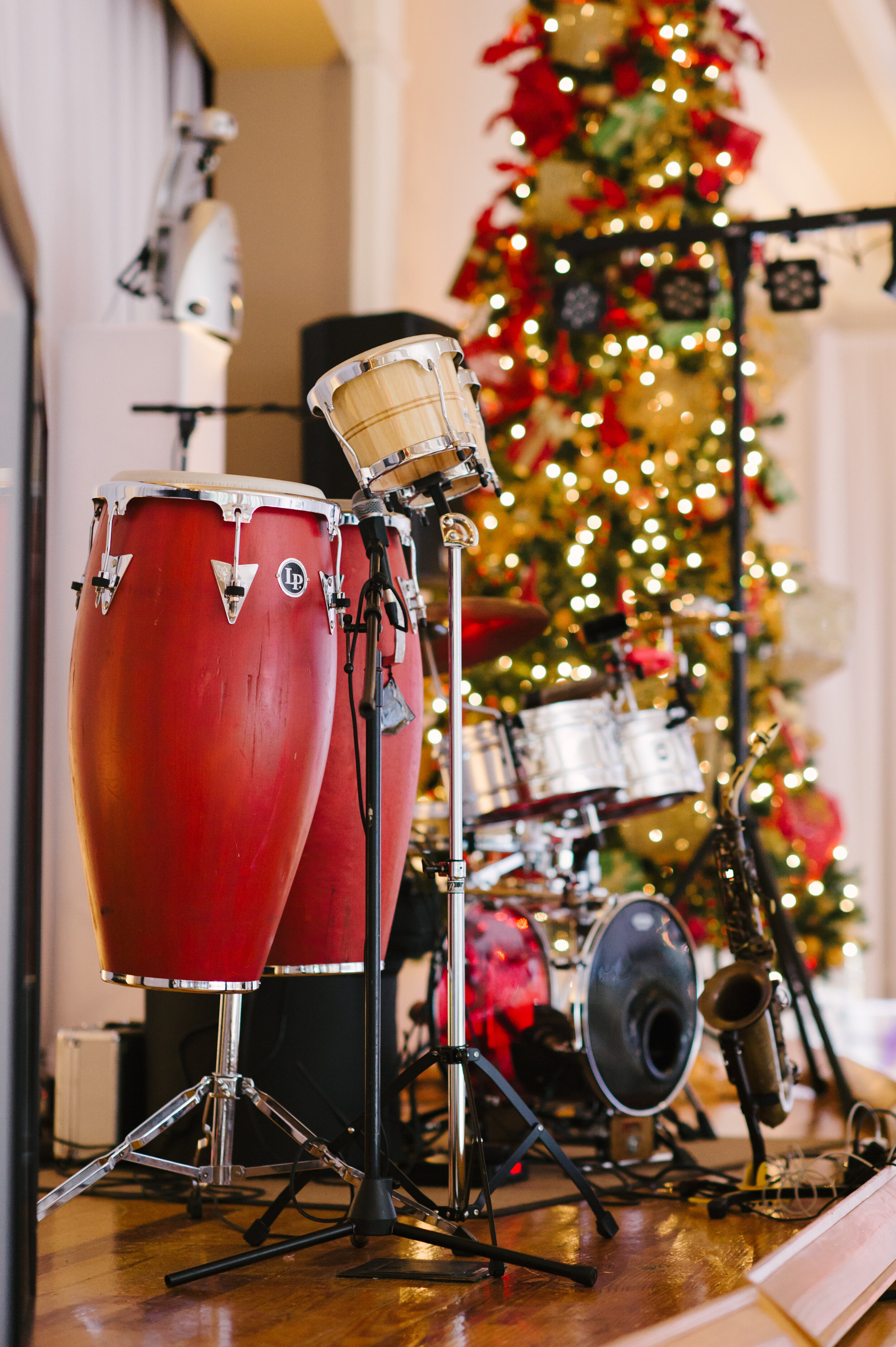 Stage Christmas Trees - Marissa Moss Photography