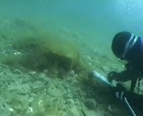 Programme d'échantillonnage en plongée sous-marine