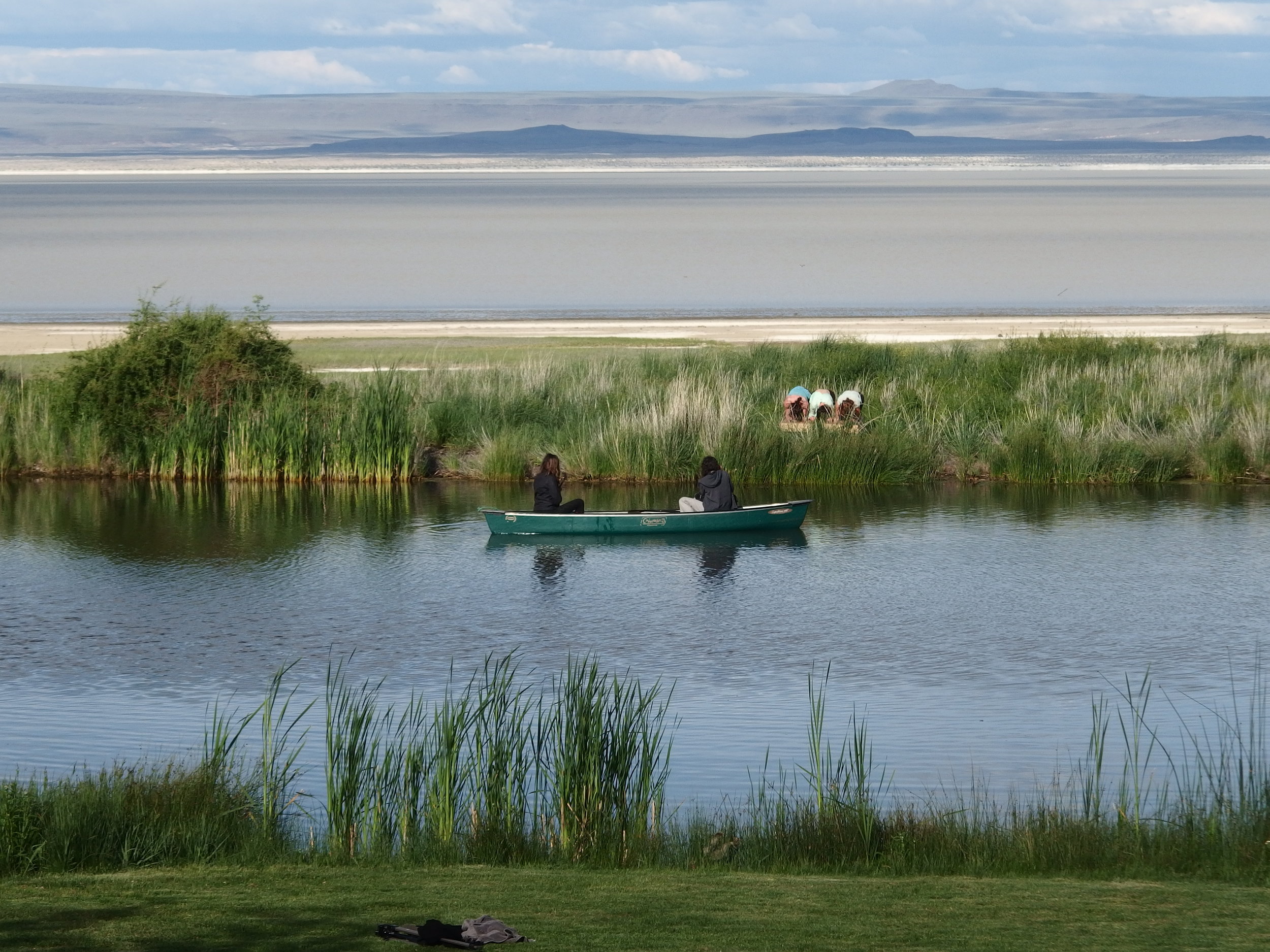 Dancers at play on PLAYA's pond.