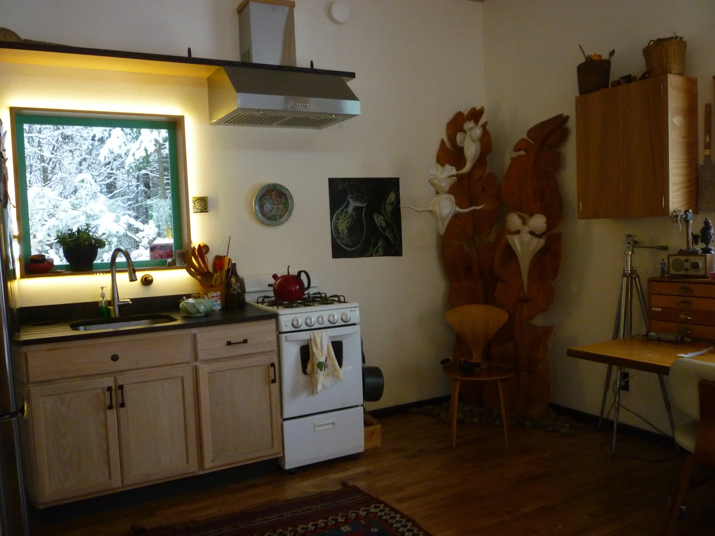 P1080160.jpg