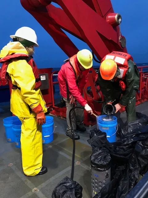 Pouring the net contents into buckets for the wet lab and specimen sorting
