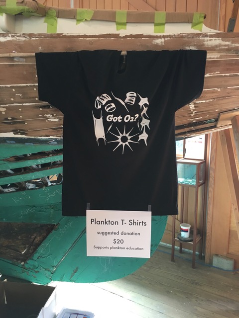 The Diatoms showing up on the popular t shirts. More are on order now!