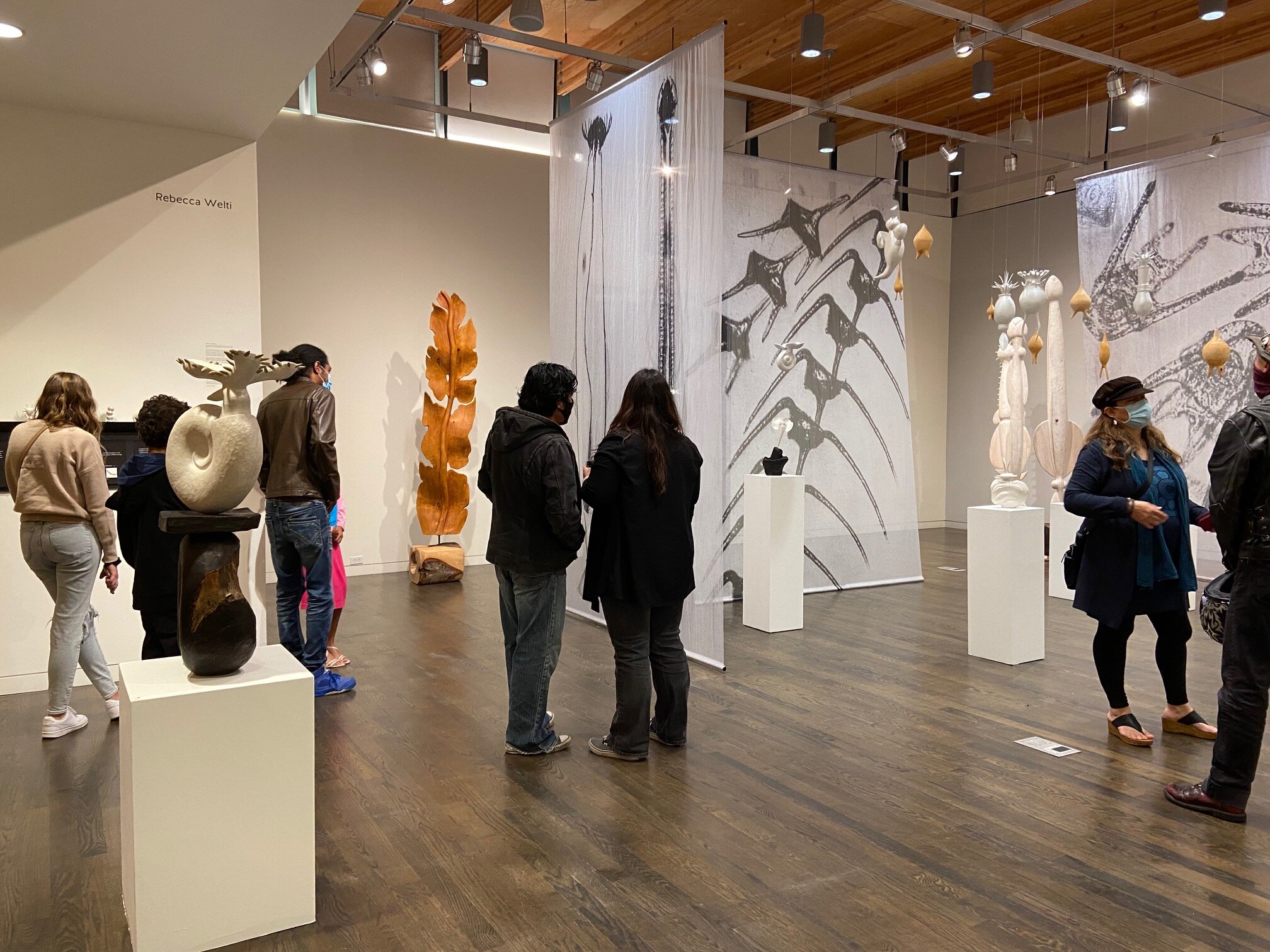 Gallery Show Vashon Center For The Arts Rebecca Welti
