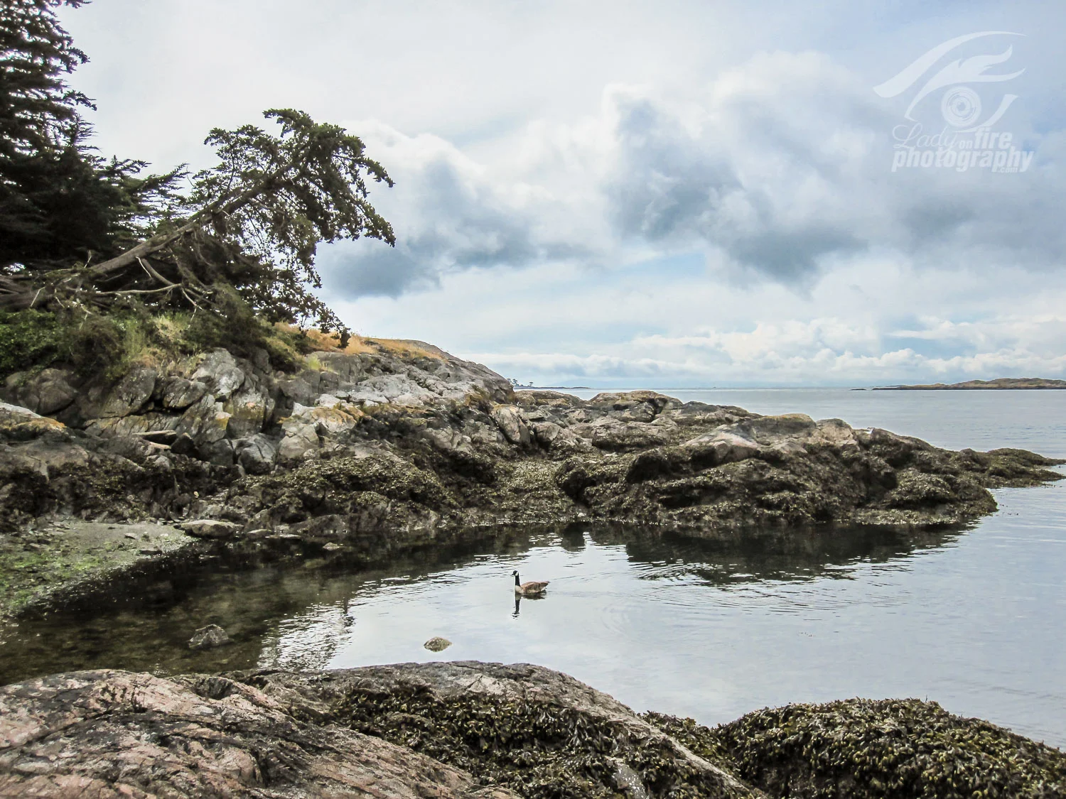 BC Cove