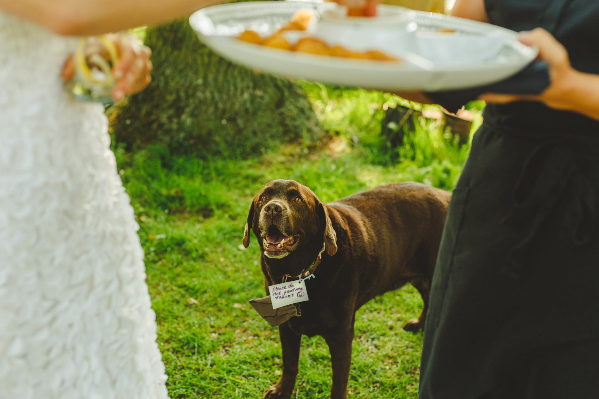 derbyshire-wedding-photographer-videographer-camera-hannah-5.jpg