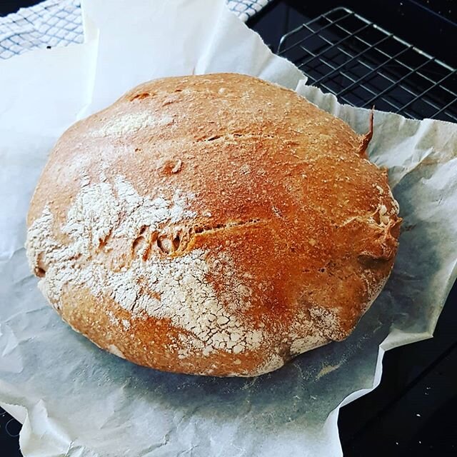 💗 #sourdoughstarter #sourdoughbread #noneadbread