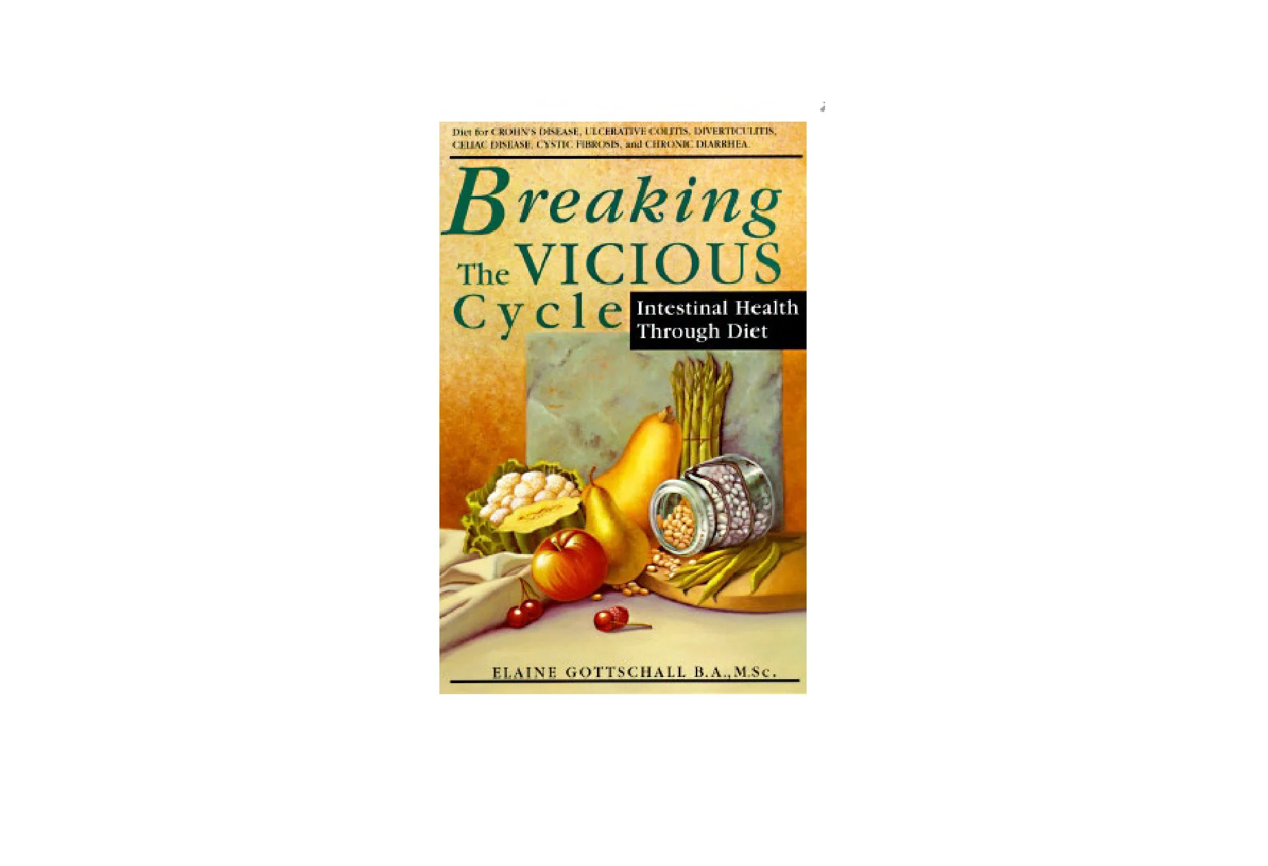 Book: Breaking the Vicious Cycle