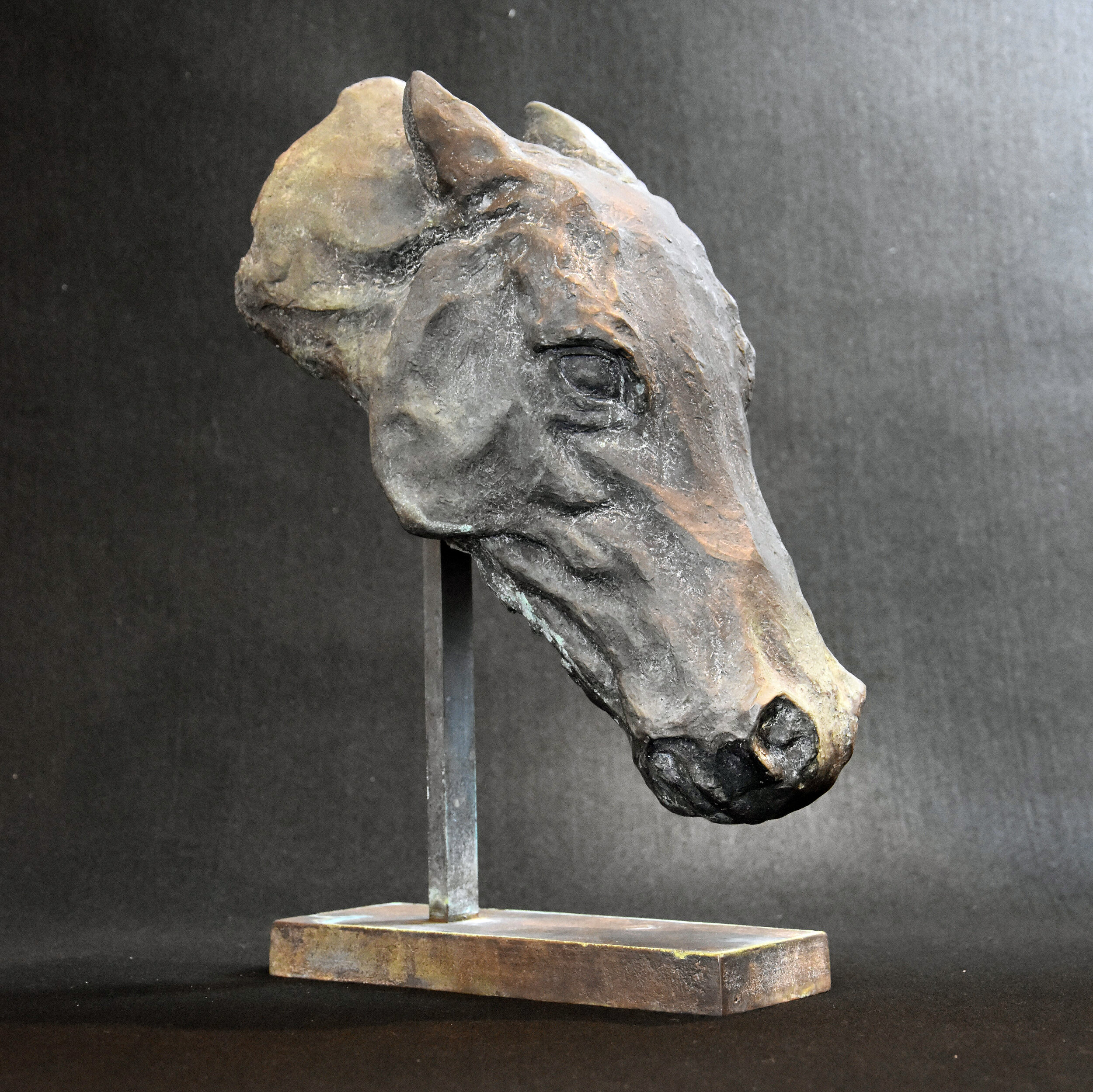 Horse's head_bronze_38x25x12 cm_2.jpg