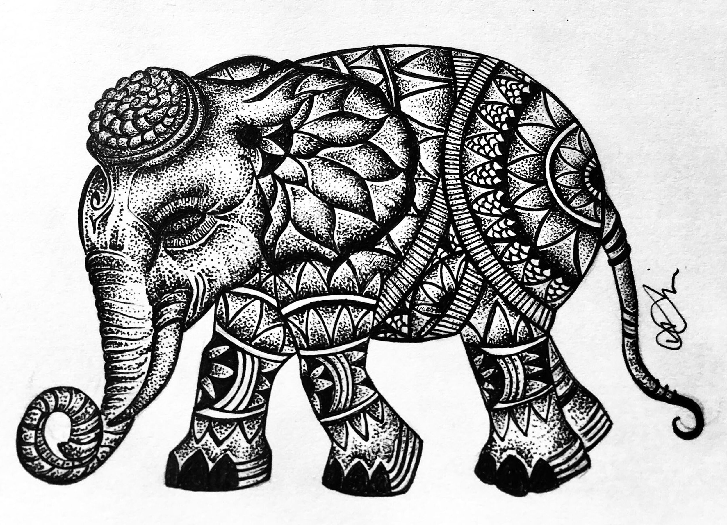 Narain_ Elephant.jpg