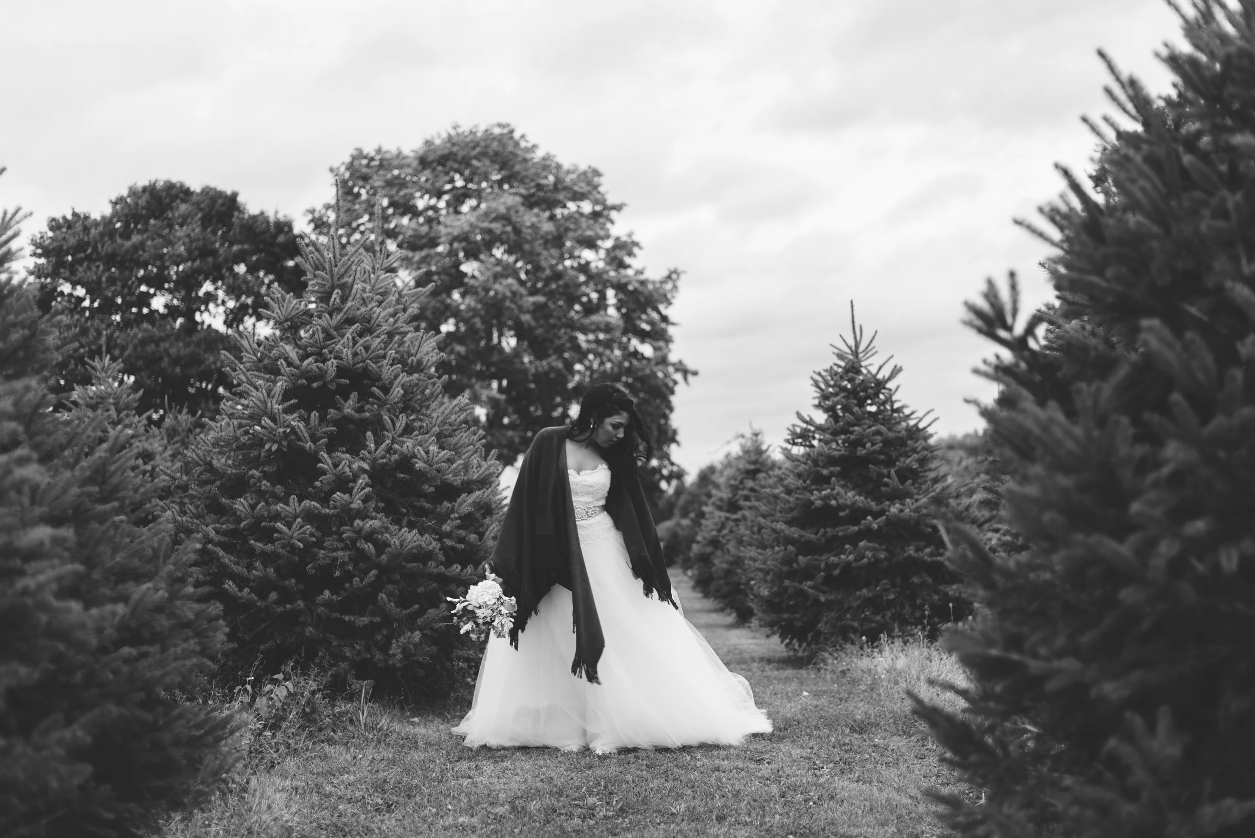 A bride in a wedding dress and veil holding a bouquet, walking between Christmas trees outdoors on a cloudy day. hayden budd photo + film new england film photographer