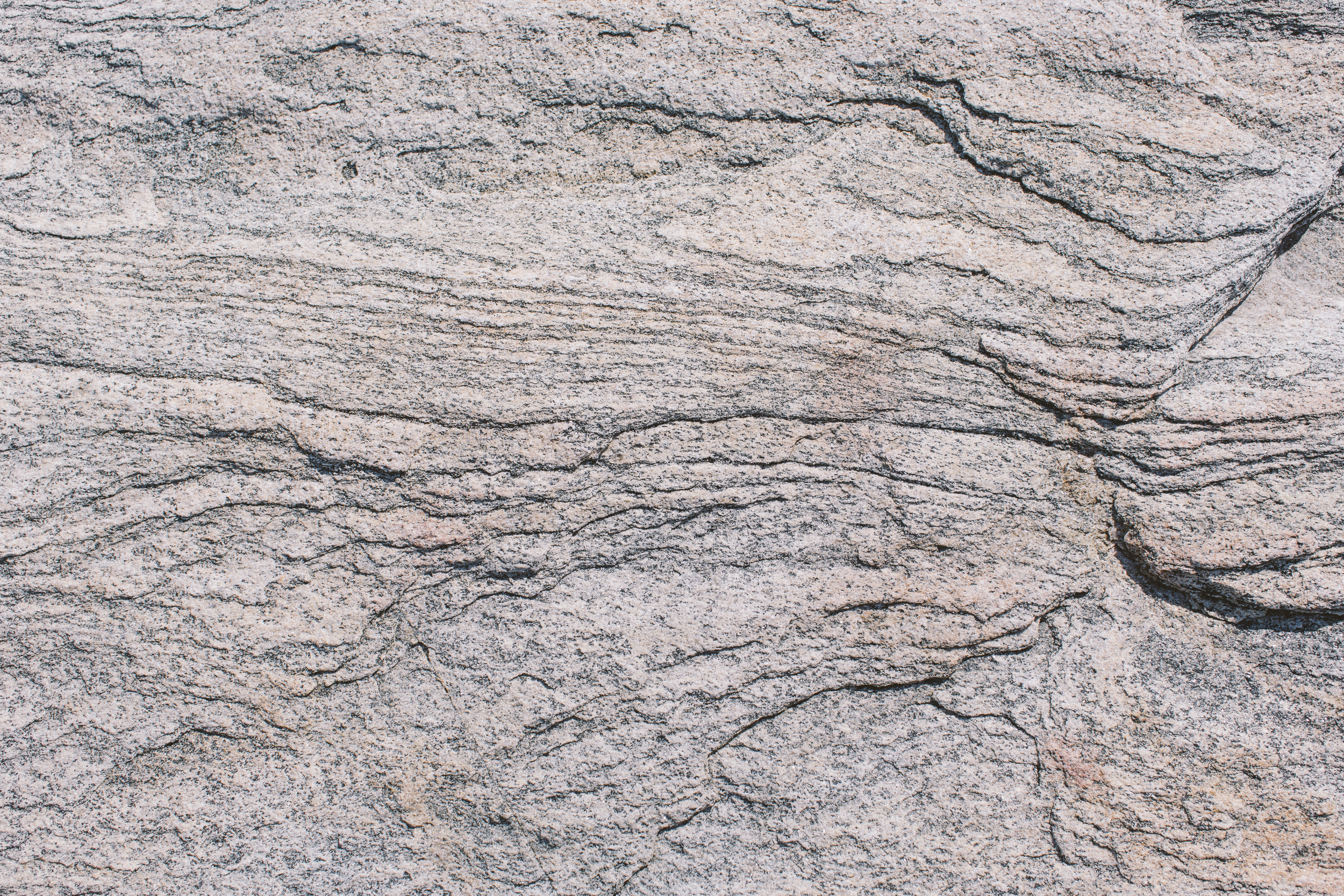 Close-up of a textured, light-colored rock surface with visible dark veins and layers.