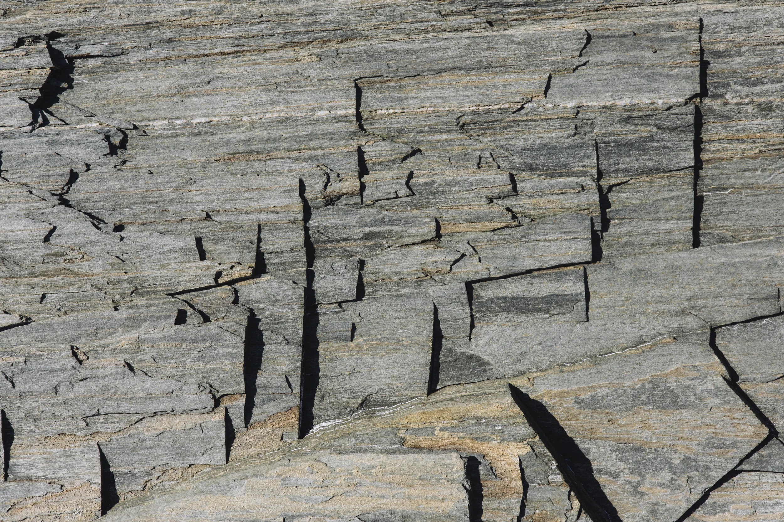 Close-up of cracked gray and brown weathered wood surface.