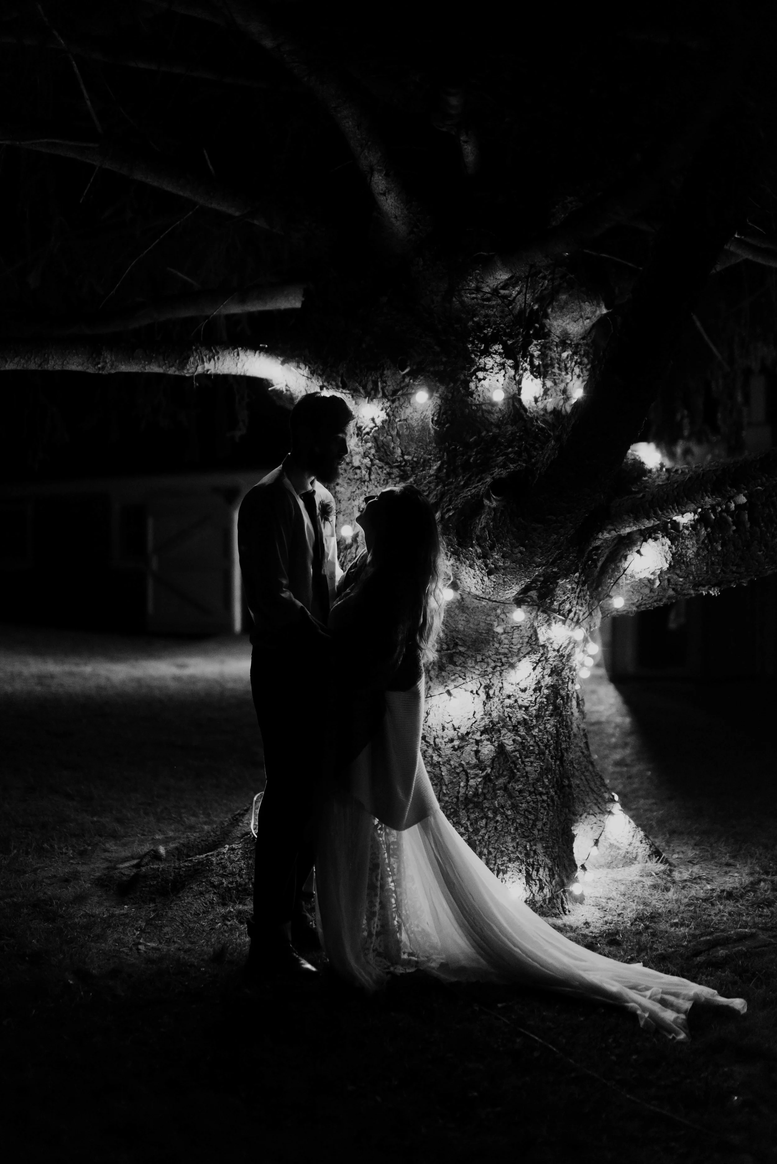 Silhouetted couple standing close under a lit, large tree at night, with string lights wrapped around the tree trunk and branches. hayden budd photo + film new england film photographer