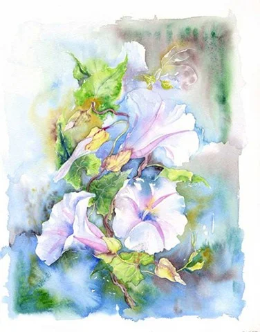 02 Bindweed 18x14