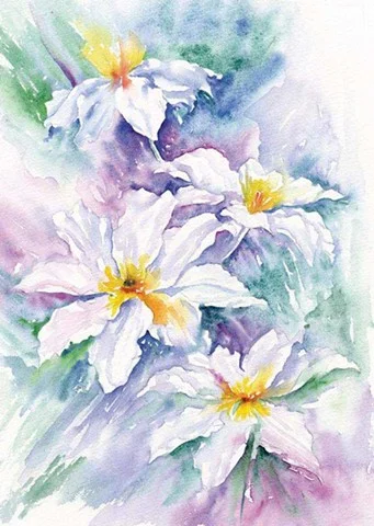 16 White Clematis 18x14