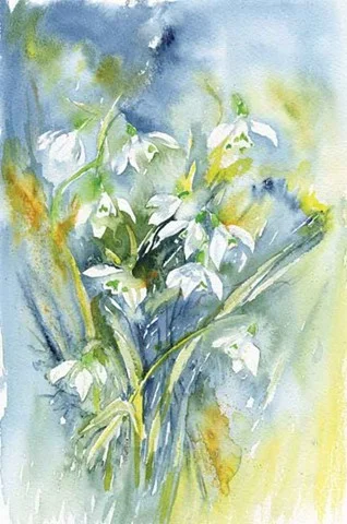 23 Snowdrops II 14x11