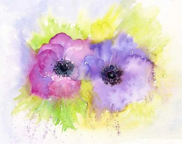 29 Anenomes 14x11