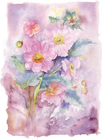 30 Japanese Anenomes 18x14