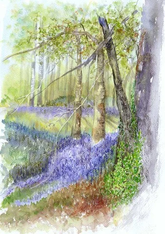 71 Bluebell Wood 18x14