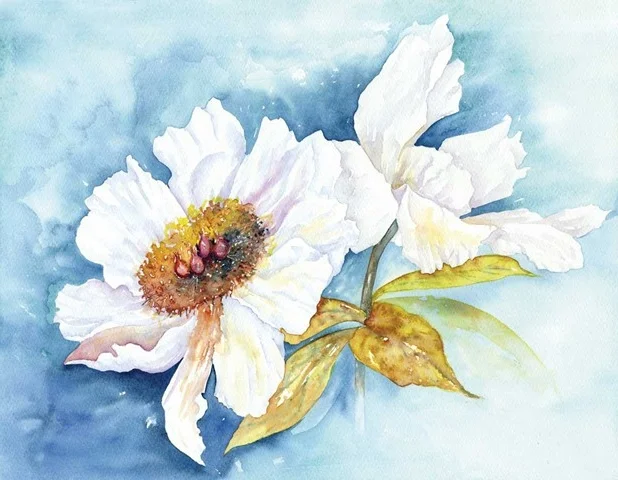 86 Peony 18x14