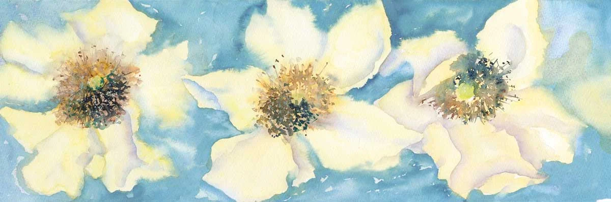 99 Yellow Roses 26x12