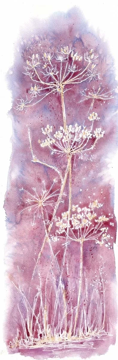 94 Cow Parsley 26x12