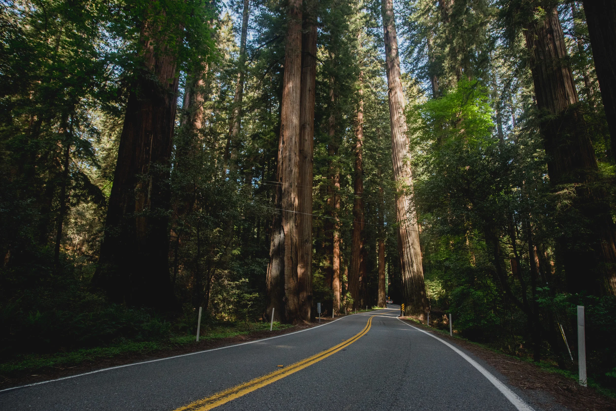 California-11.jpg
