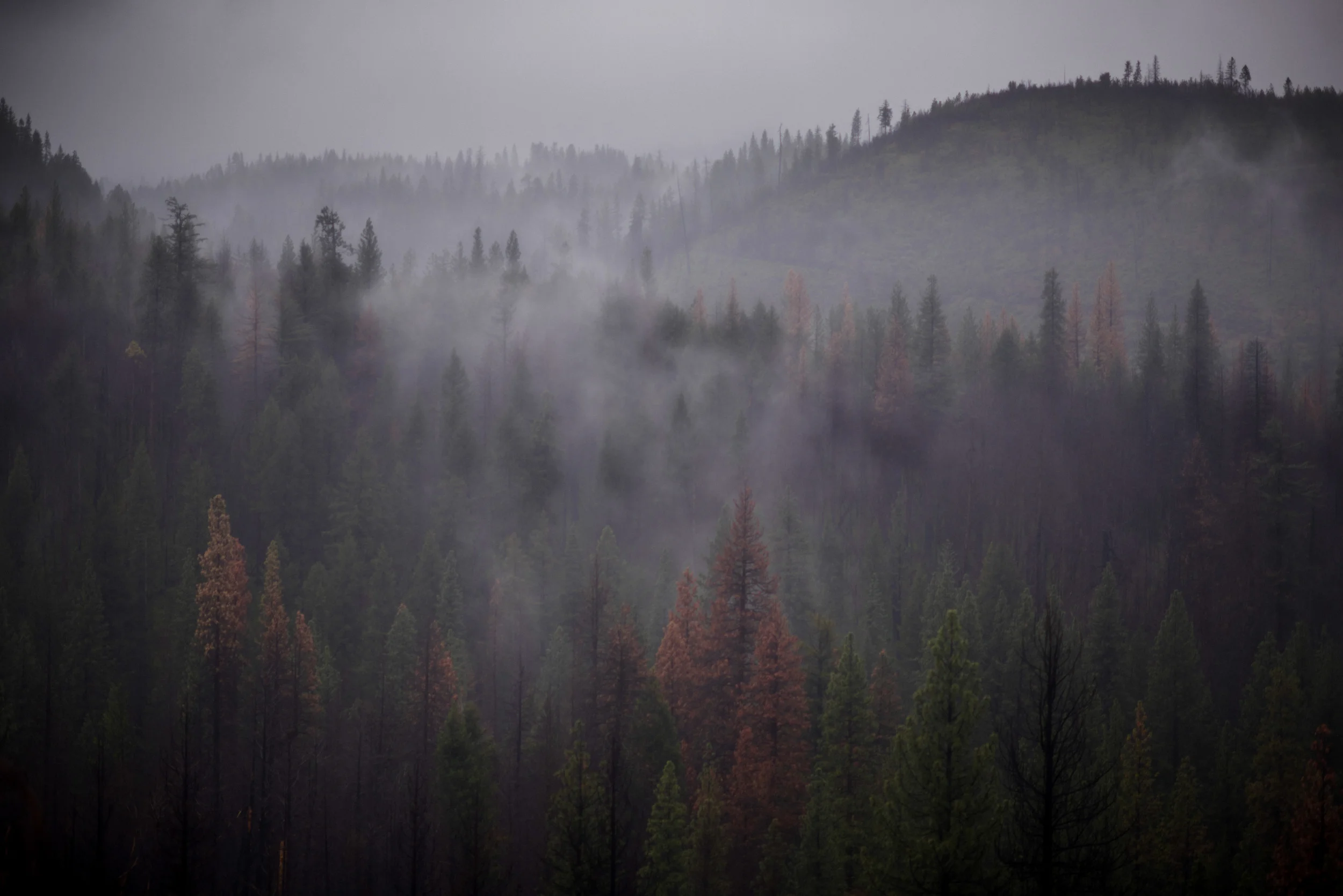 California-31.jpg