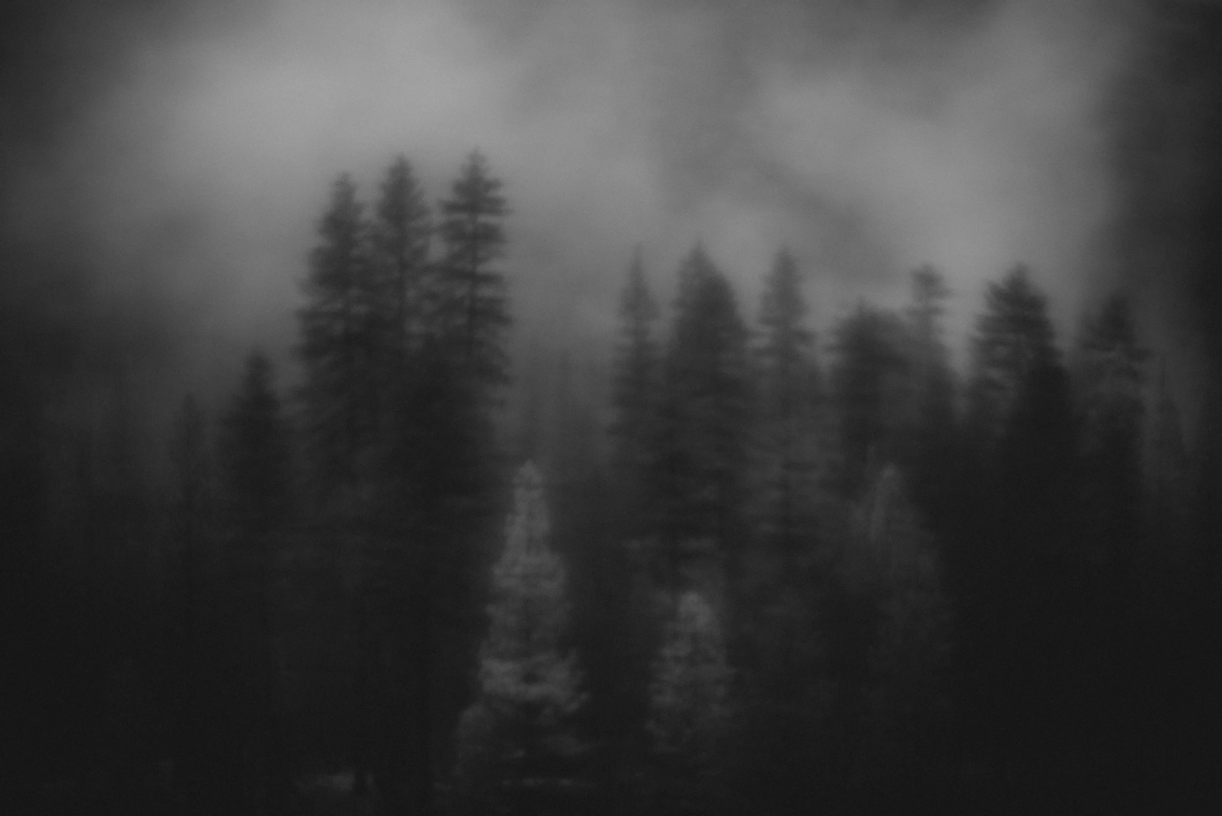 California-30.jpg