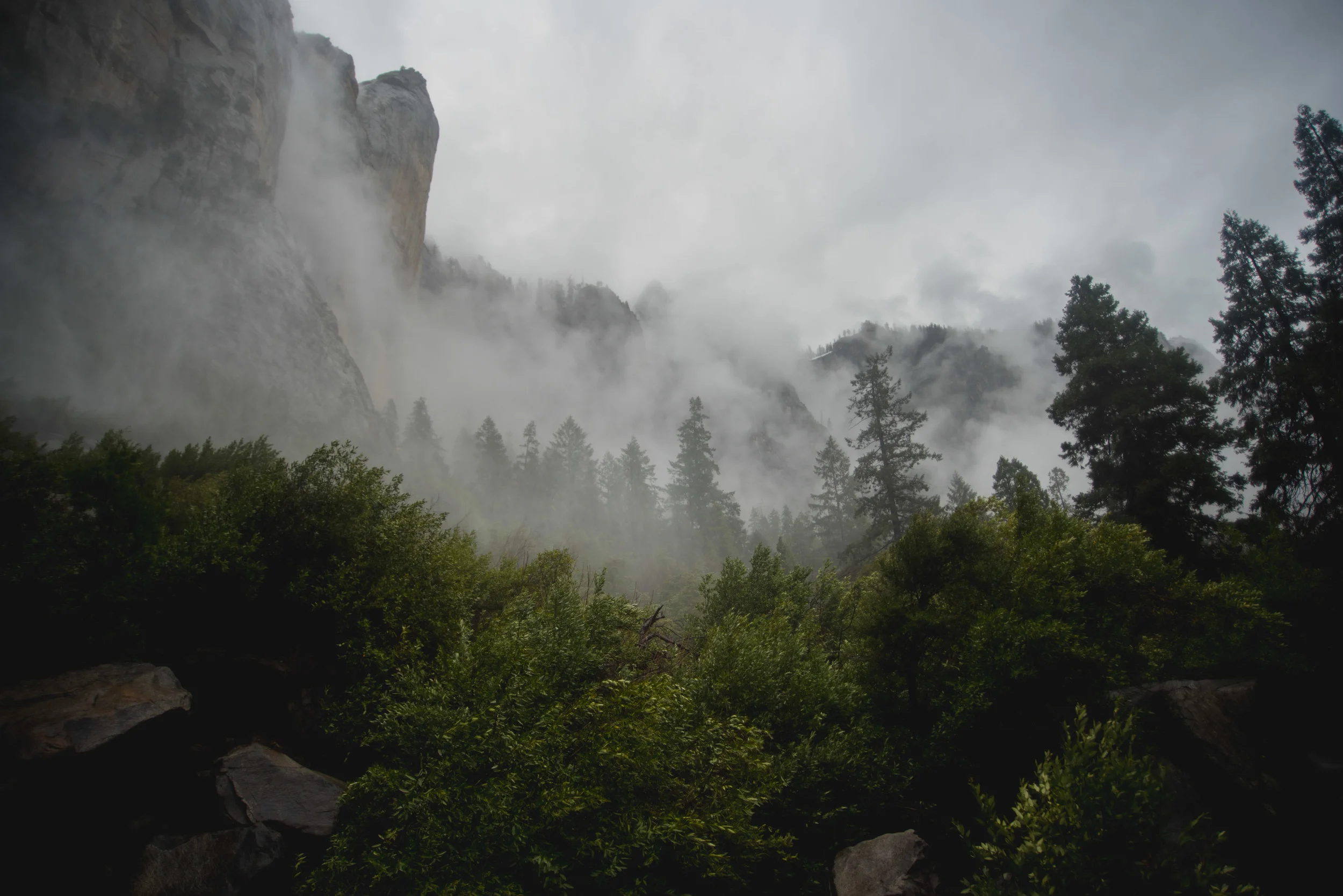 California-34.jpg