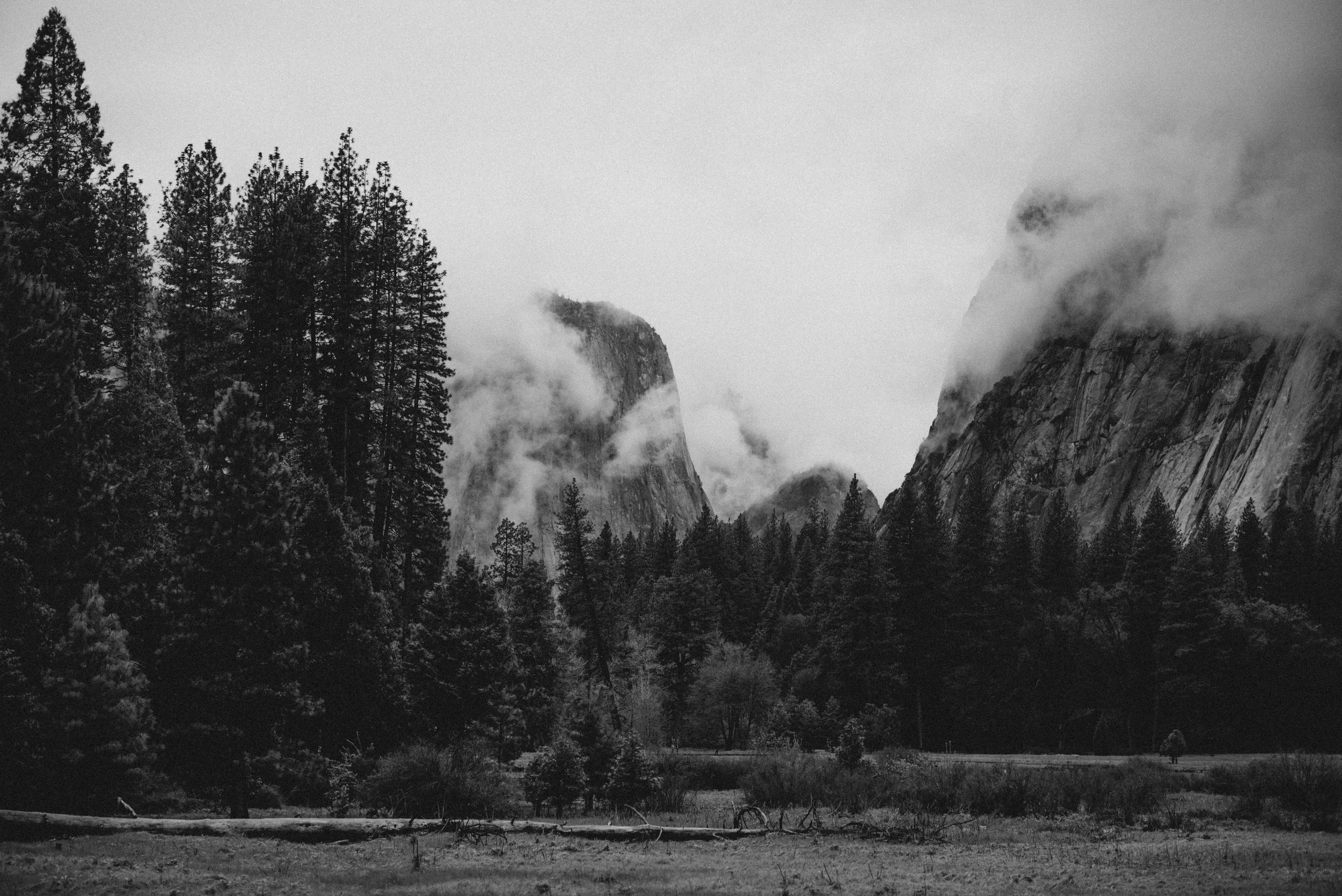 California-39.jpg