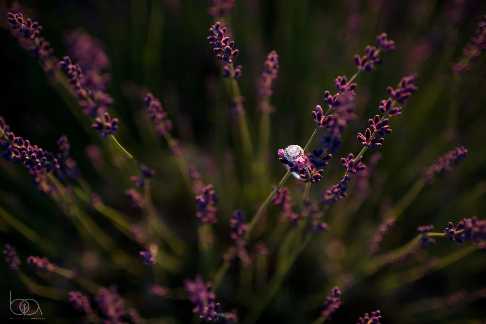 Mike + Jill-17.jpg
