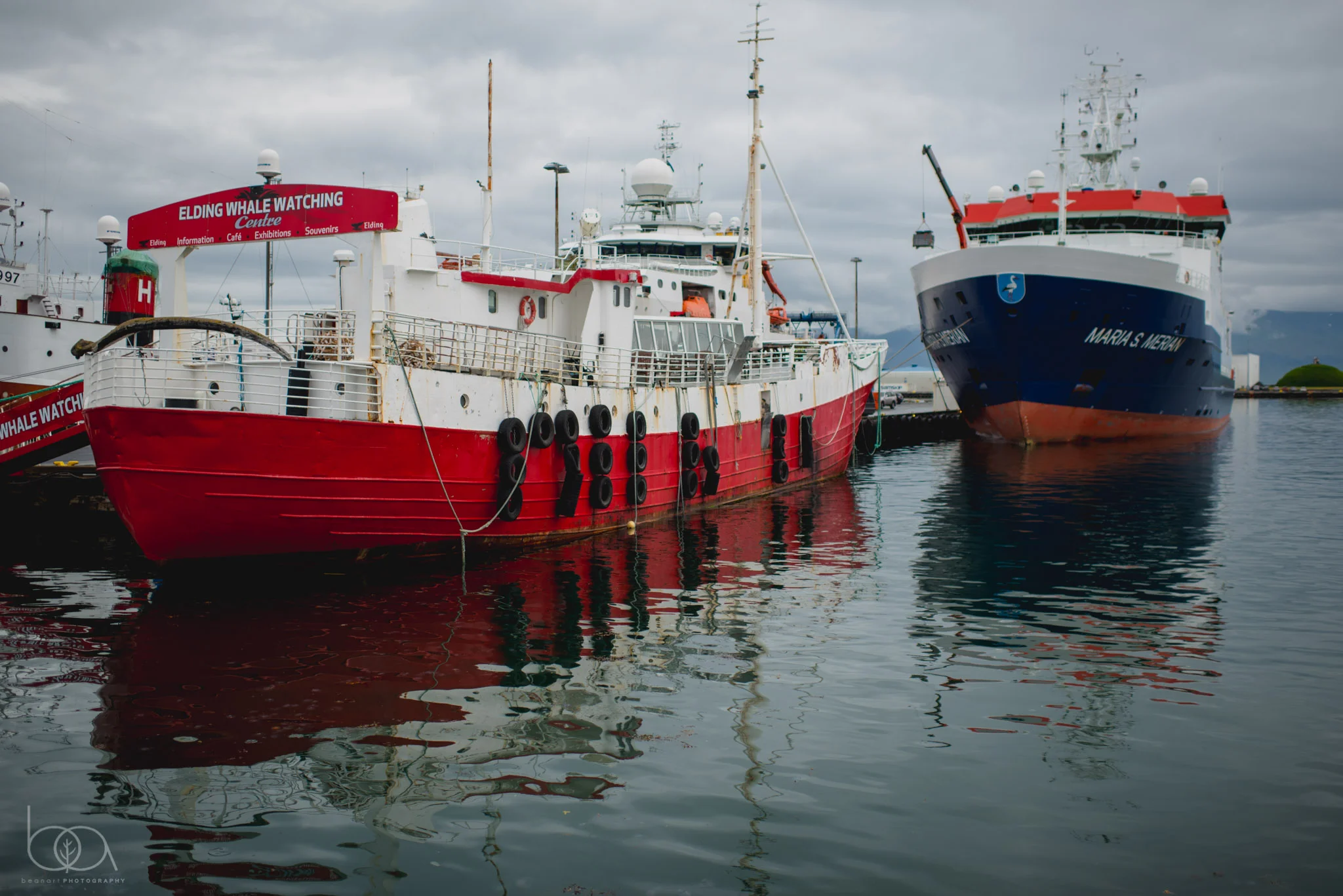 iceland-5.jpg