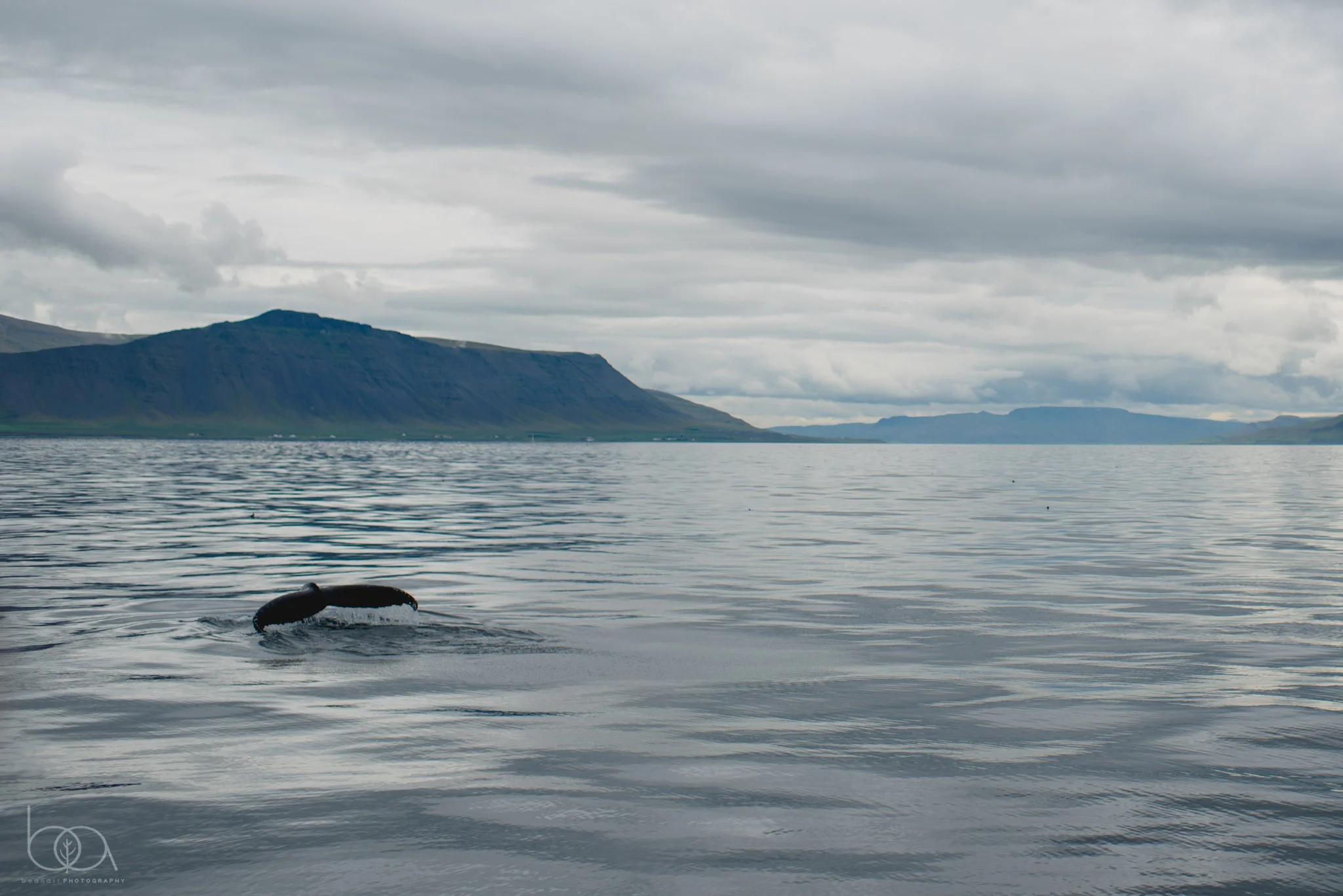 iceland-7.jpg