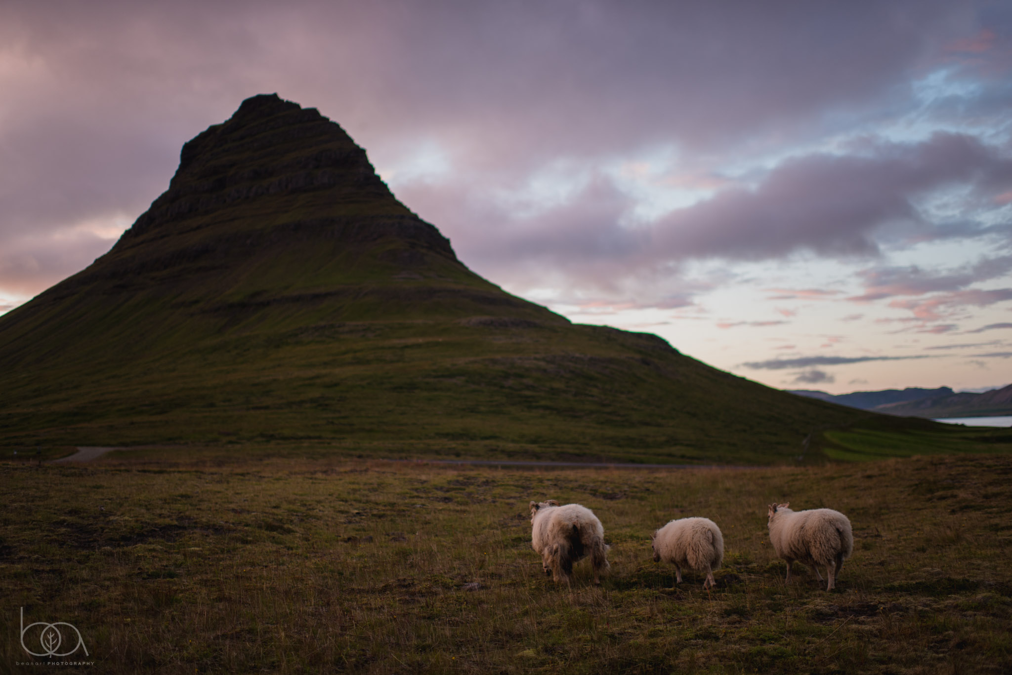 iceland-24.jpg
