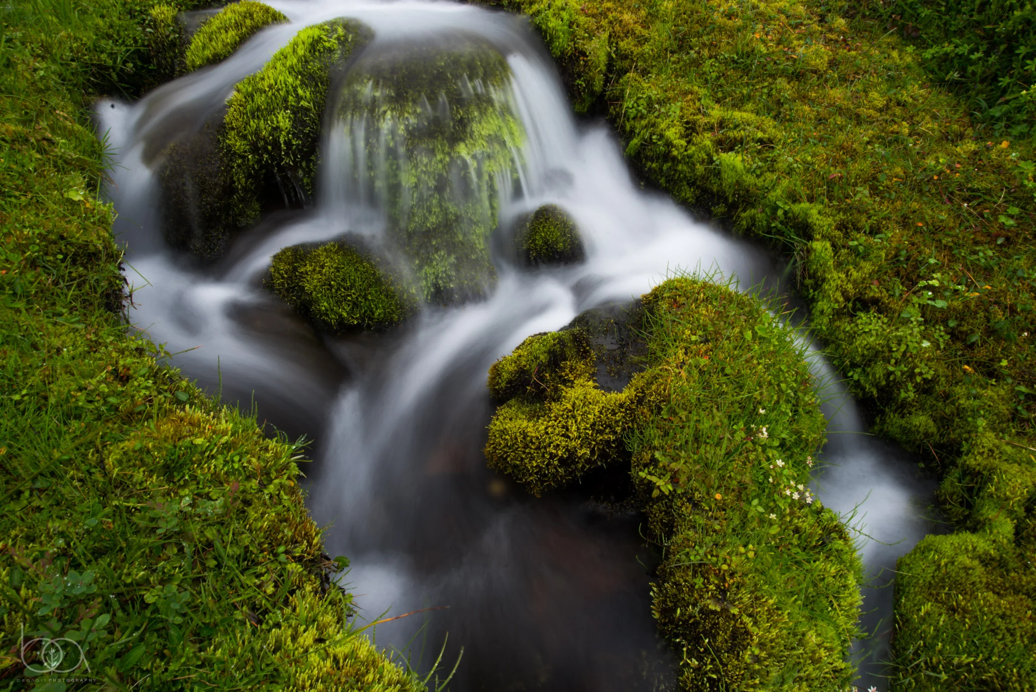 iceland-36.jpg