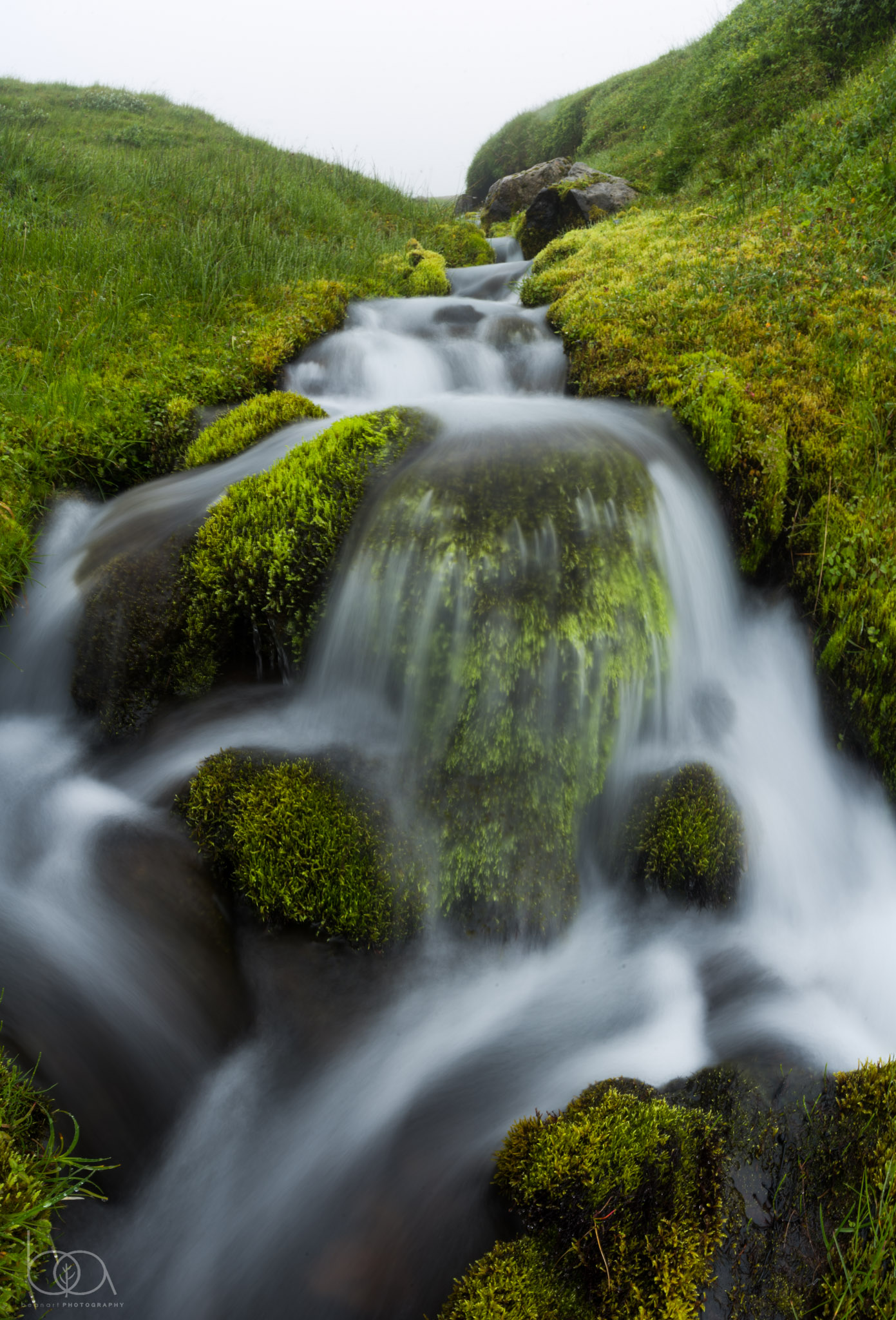 iceland-37.jpg