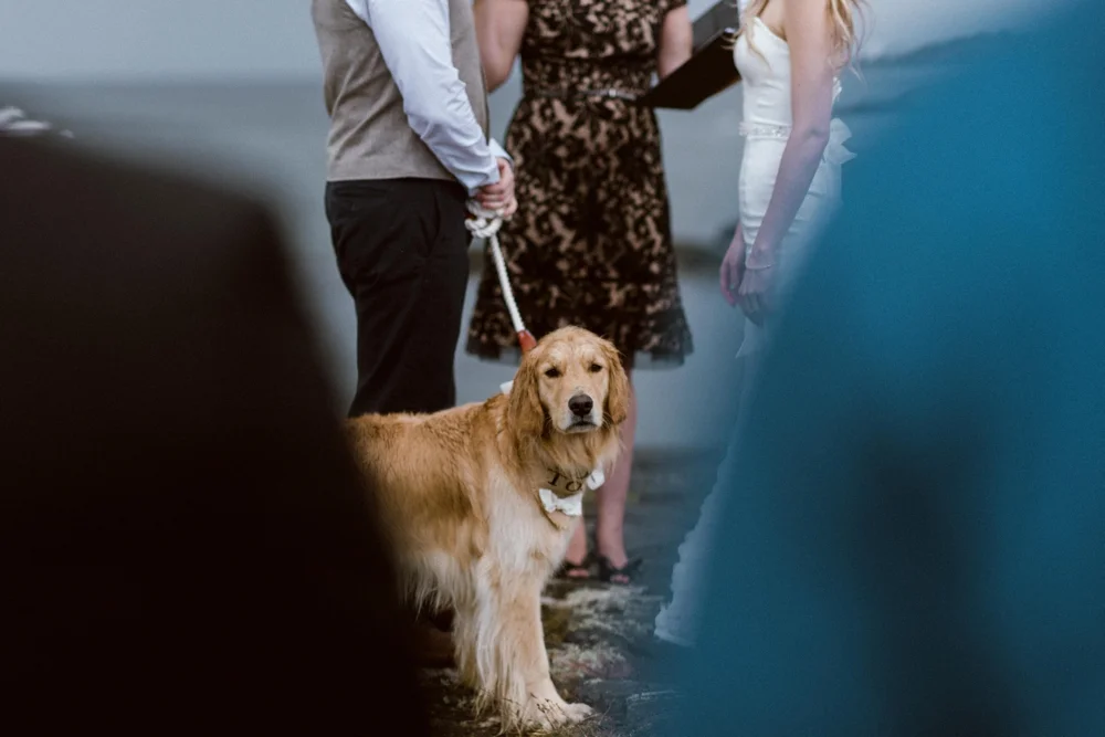 Kyle + Britt 31.jpg