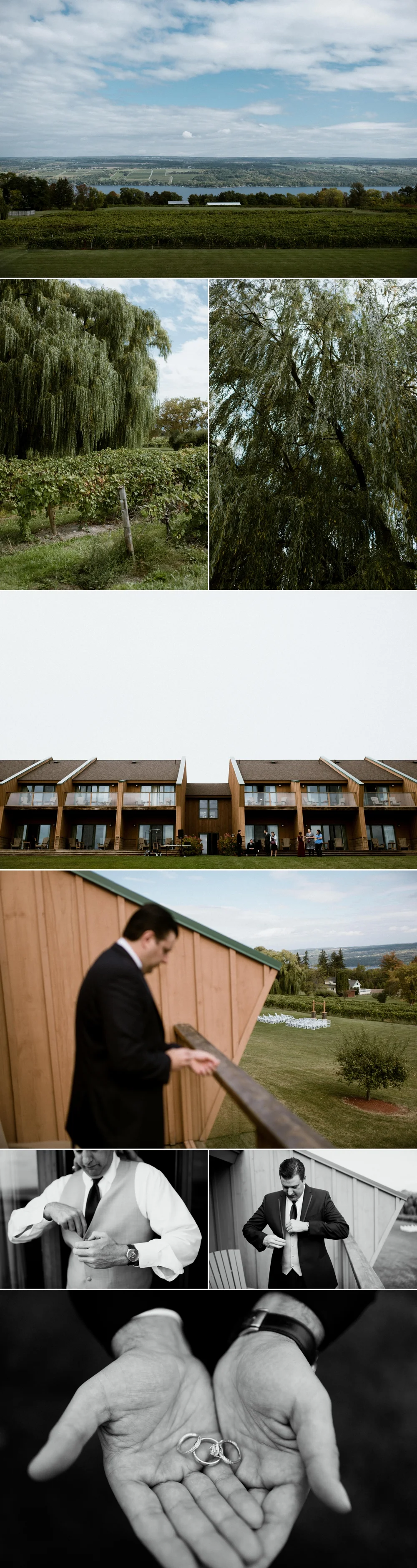 wedding 3.jpg