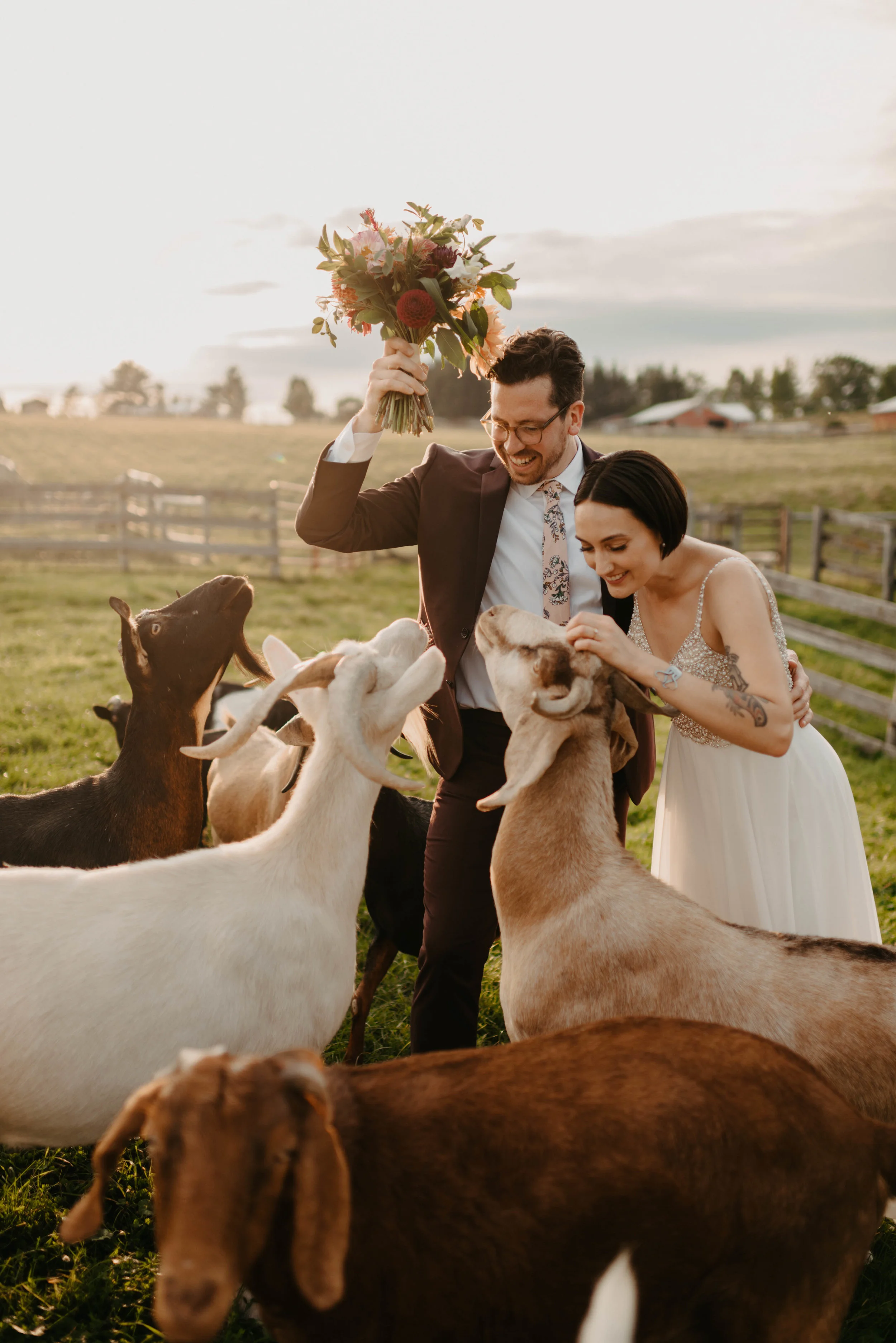 Animal Sanctuary Mountain Elopement | Kursten + Jon