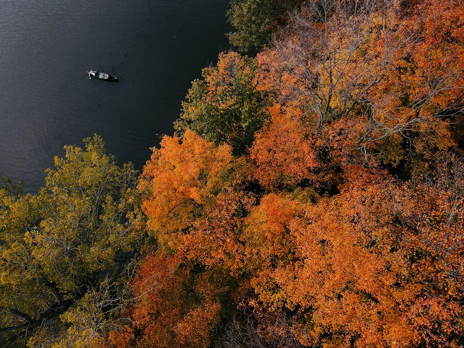 Peter + Daniella | Finger Lakes Canoe Engagement