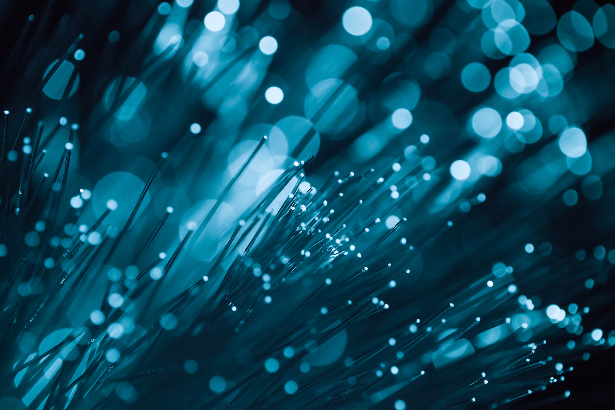 shutterstock_391674427 small.jpeg