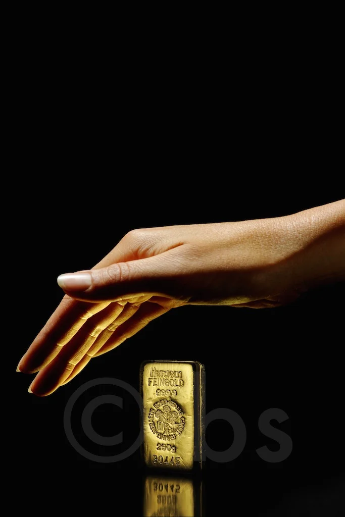 BSF_6159_hand.jpg