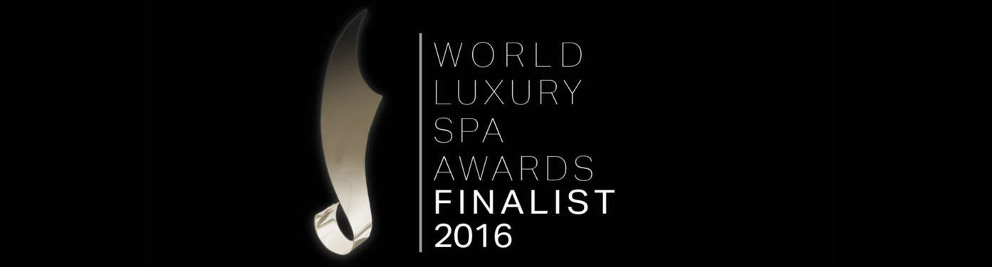 Vote_icon_spa_2016-Transparent (Small).png