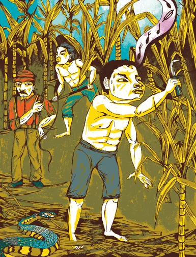 SUGARCANE- Slavery on the Plantations