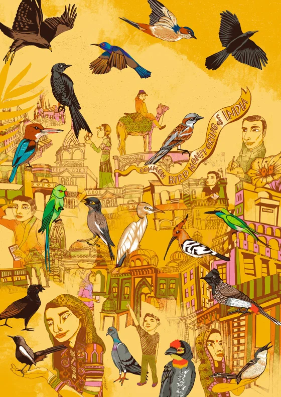Common Birds of India - A poster to help save the Sparrows of India