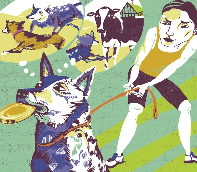 A dog that just won't run
